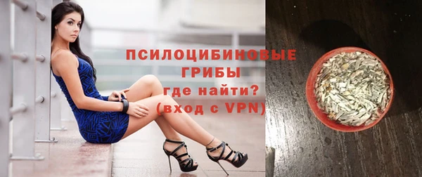spice Тында
