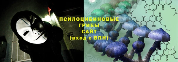 ALPHA PVP Туринск