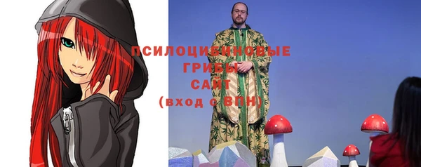 spice Тында
