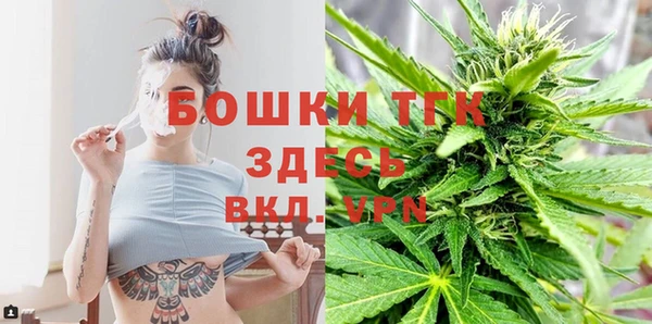 бошки Тутаев