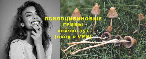 бошки Тутаев
