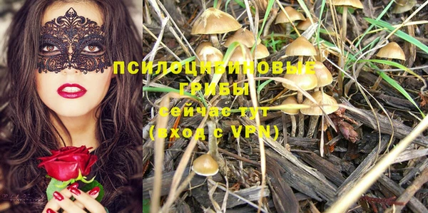 ALPHA PVP Туринск