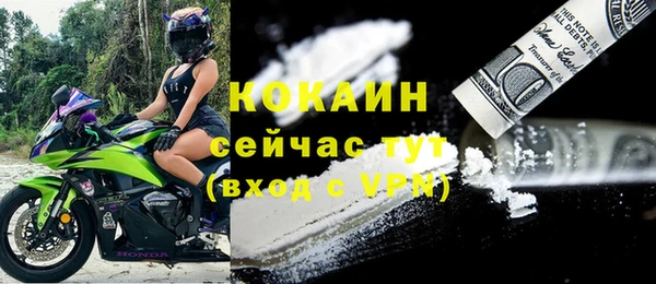 ALPHA PVP Туринск